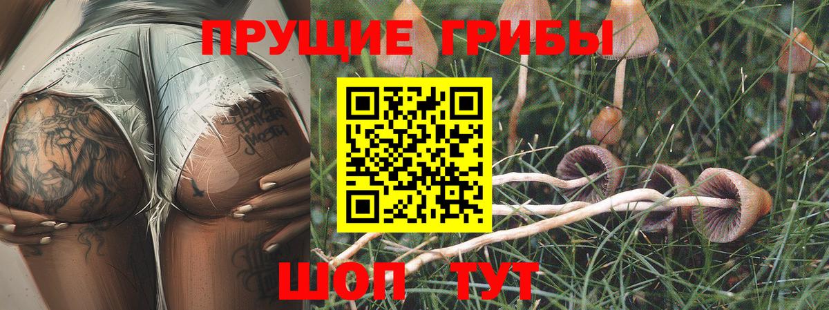 Галлюциногенные грибы GOLDEN TEACHER  Вход с VPN  Белово 